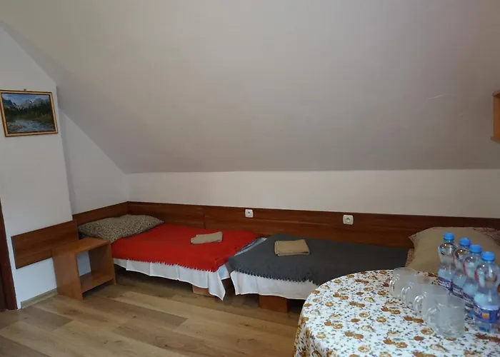 Osrodek Wczasowy Jodelka Penzion